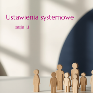 Ustawienia Systemowe — sesja 1:1 praca na figurkach 60-90min
